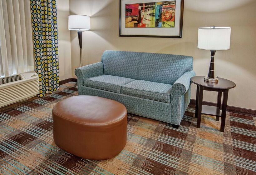 בית מלון כפרי Hampton Inn & Suites Clarksville