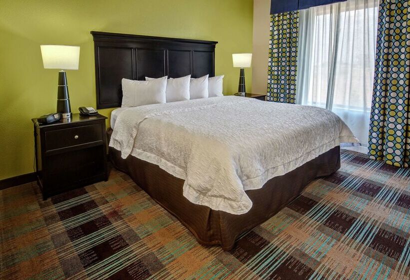 فندق Hampton Inn & Suites Clarksville