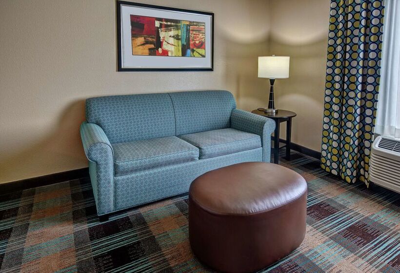 בית מלון כפרי Hampton Inn & Suites Clarksville
