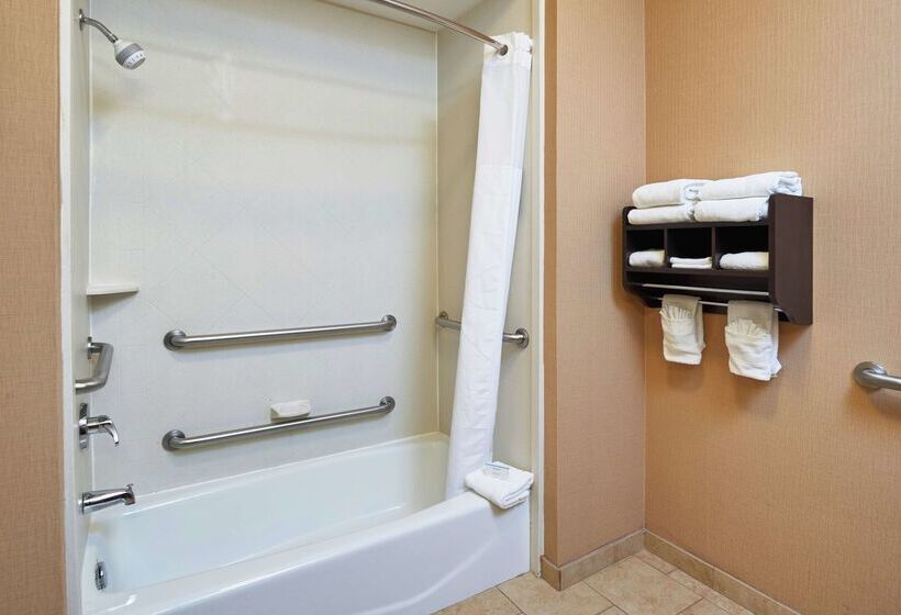 בית מלון כפרי Hampton Inn & Suites Decatur