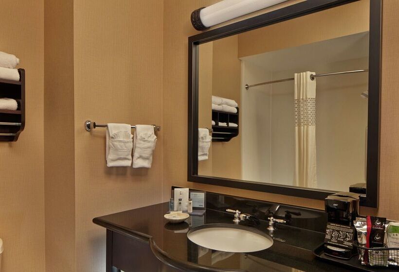 בית מלון כפרי Hampton Inn & Suites Decatur