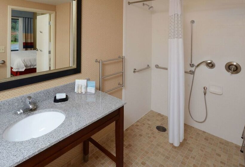 فندق Hampton Inn & Suites Lynchburg