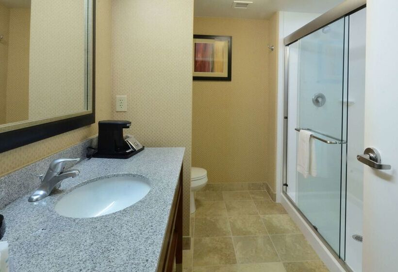 فندق Hampton Inn & Suites Lynchburg