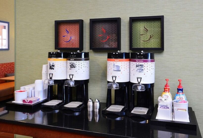 فندق Hampton Inn & Suites Lynchburg