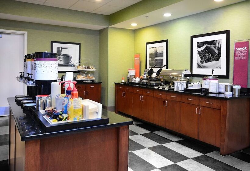 فندق Hampton Inn & Suites Lynchburg