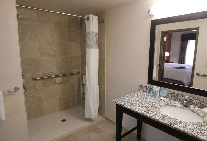בית מלון כפרי Hampton Inn & Suites Senecaclemson Area