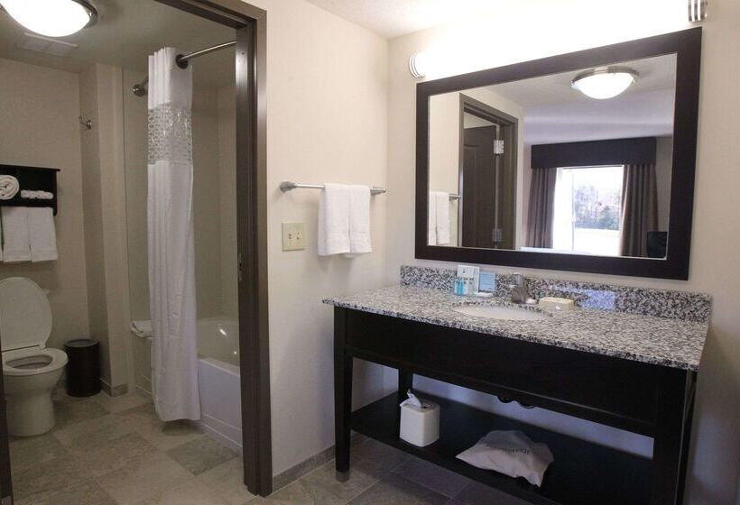 בית מלון כפרי Hampton Inn & Suites Senecaclemson Area