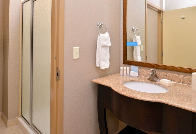 ホテル Hampton Inn Van Horn