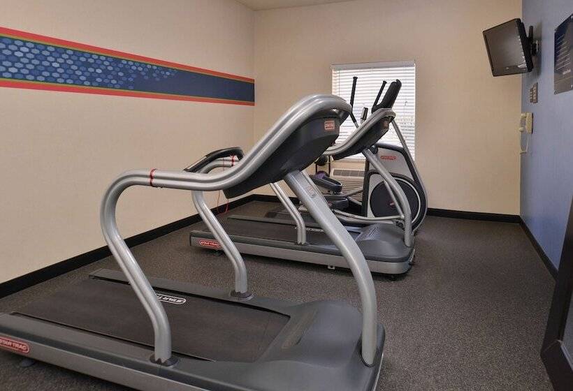 ホテル Hampton Inn Van Horn