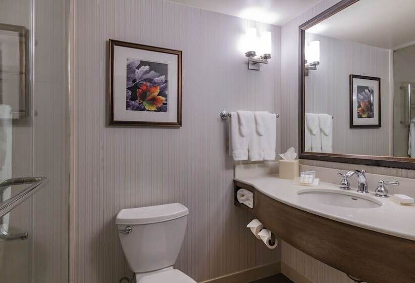 호텔 Hilton Garden Inn Devens Common