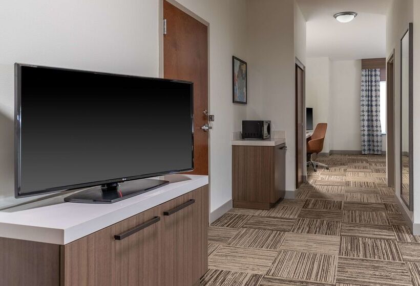 فندق Hilton Garden Inn North Little Rock