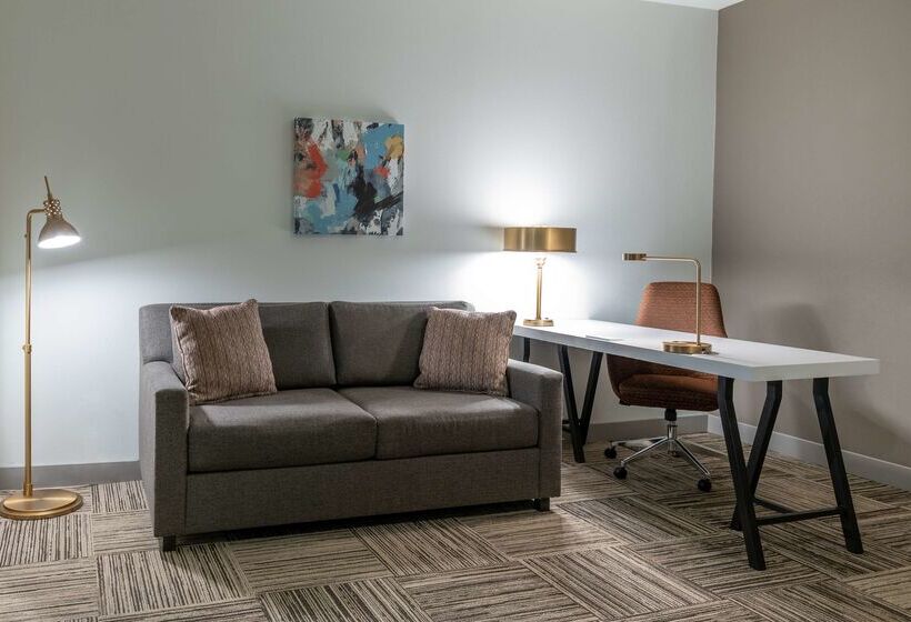 فندق Hilton Garden Inn North Little Rock