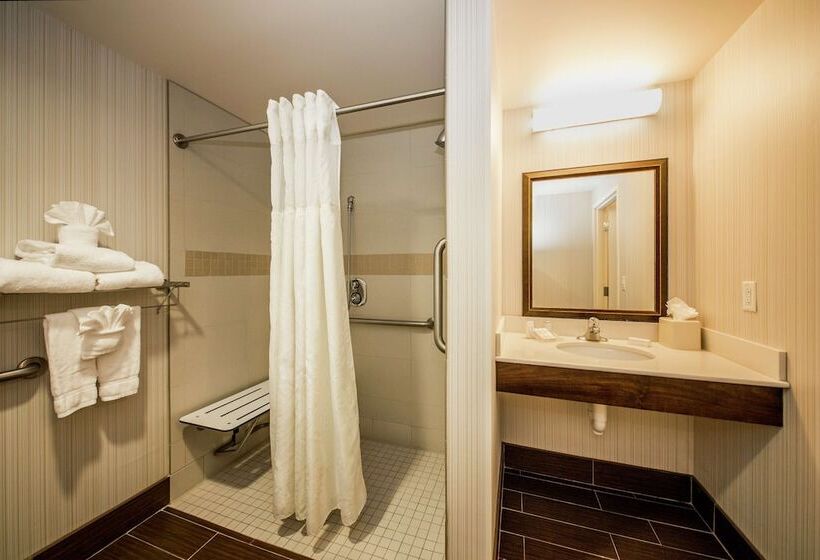 בית מלון כפרי Hilton Garden Inn Valley Forge/oaks