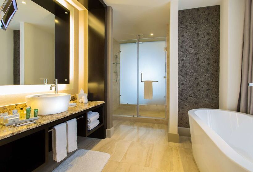 בית מלון כפרי Hilton Panama