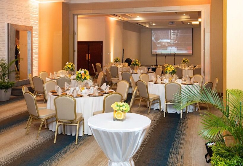 בית מלון כפרי Hilton Panama