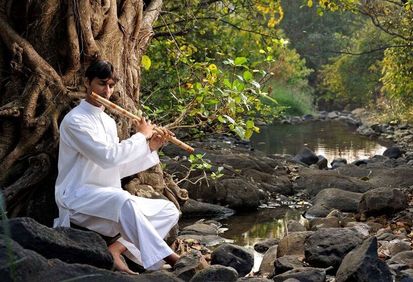 酒店 Hilton Shillim Estate Retreat & Spa