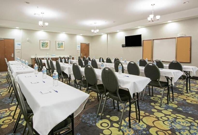 Holiday Inn Express Hotel And Suites Monahans I 20, An Ihg