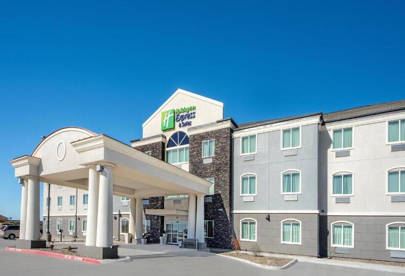 Holiday Inn Express Hotel And Suites Monahans I 20, An Ihg
