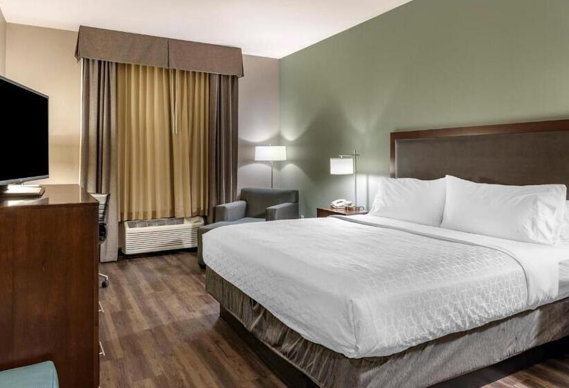 فندق Holiday Inn Express & Suites Indio   Coachella Valley, An Ihg