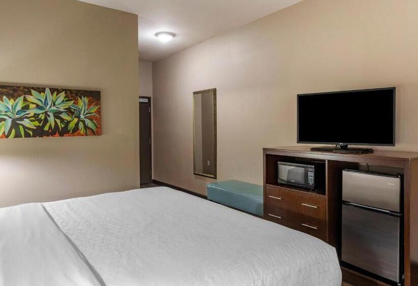 فندق Holiday Inn Express & Suites Indio   Coachella Valley, An Ihg