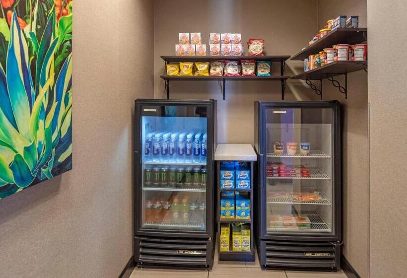 فندق Holiday Inn Express & Suites Indio   Coachella Valley, An Ihg