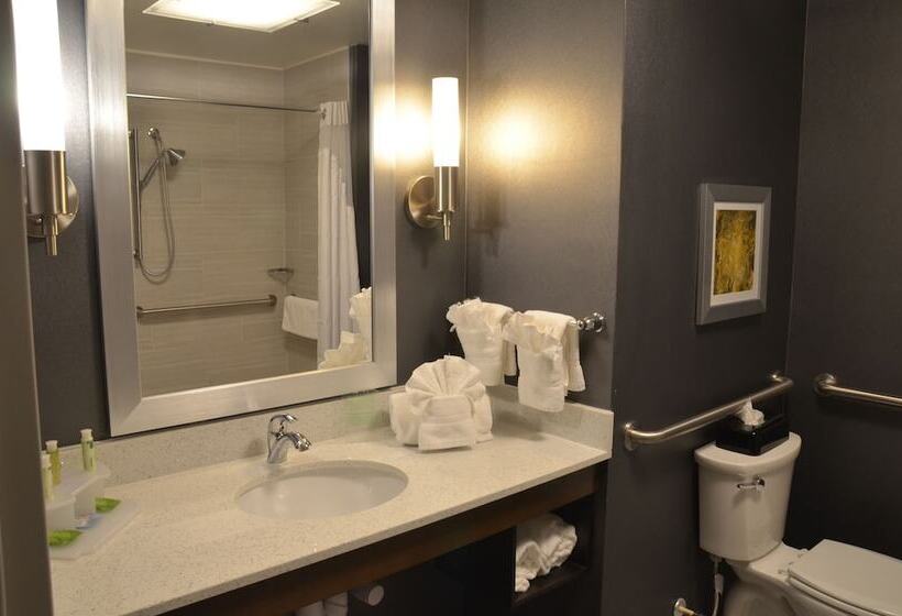 Holiday Inn Express Hotel & Suites Albany By Ihg