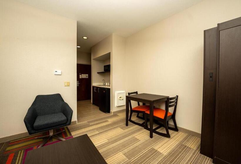 酒店 Holiday Inn Express & Suites Deer Park, An Ihg