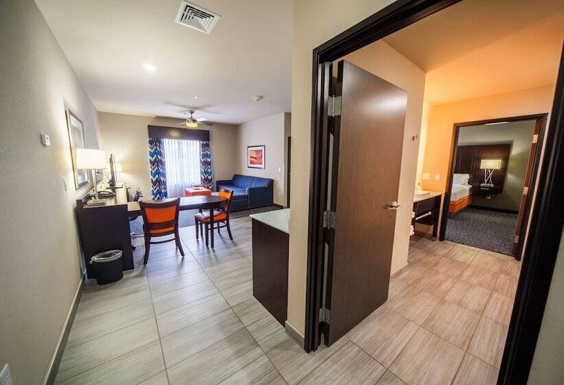 酒店 Holiday Inn Express & Suites Oklahoma City Southeast, An Ihg