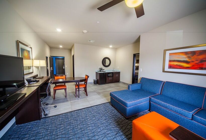 酒店 Holiday Inn Express & Suites Oklahoma City Southeast, An Ihg