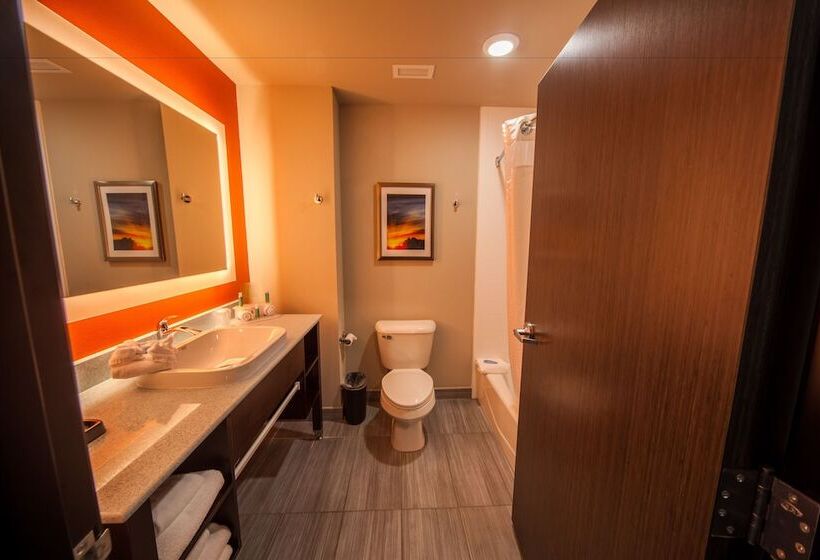 酒店 Holiday Inn Express & Suites Oklahoma City Southeast, An Ihg