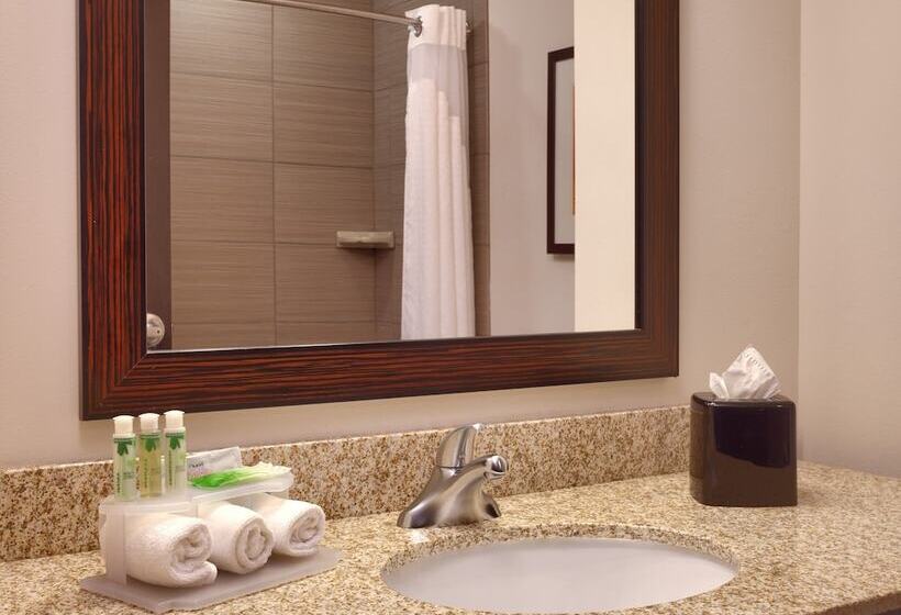 호텔 Holiday Inn Express & Suites Overland Park, An Ihg