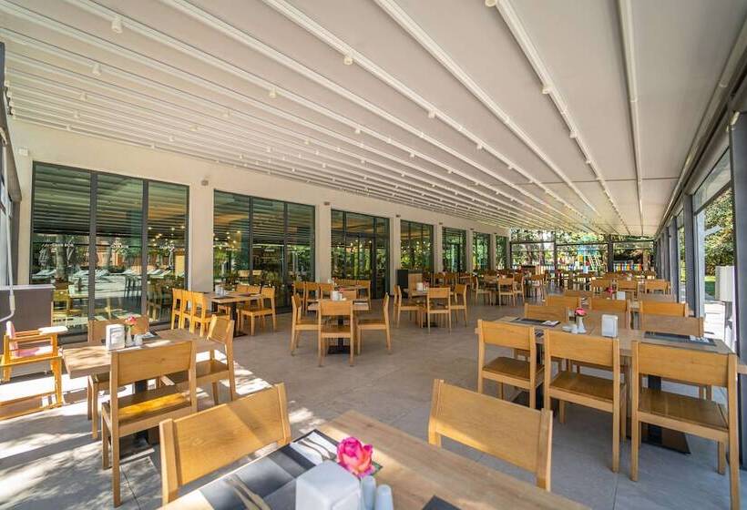 酒店 Hvd Club Bor Ultra All Inclusive