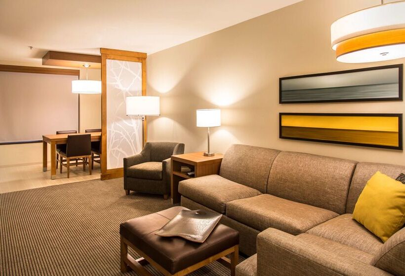 Отель Hyatt Place Charlottesville