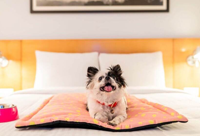 Отель Ibis Jaipur City Centre An Accor Brand