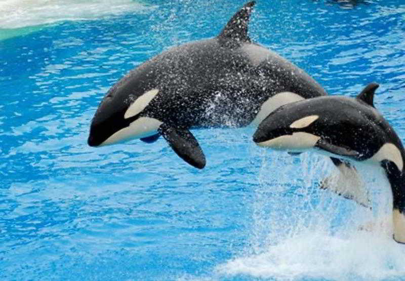 酒店 Residence Inn San Diego Oceanside