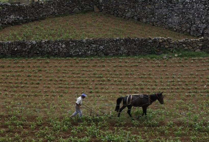 교외 호텔 Quinta Do Martelo
