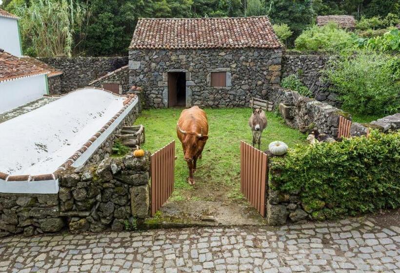 교외 호텔 Quinta Do Martelo