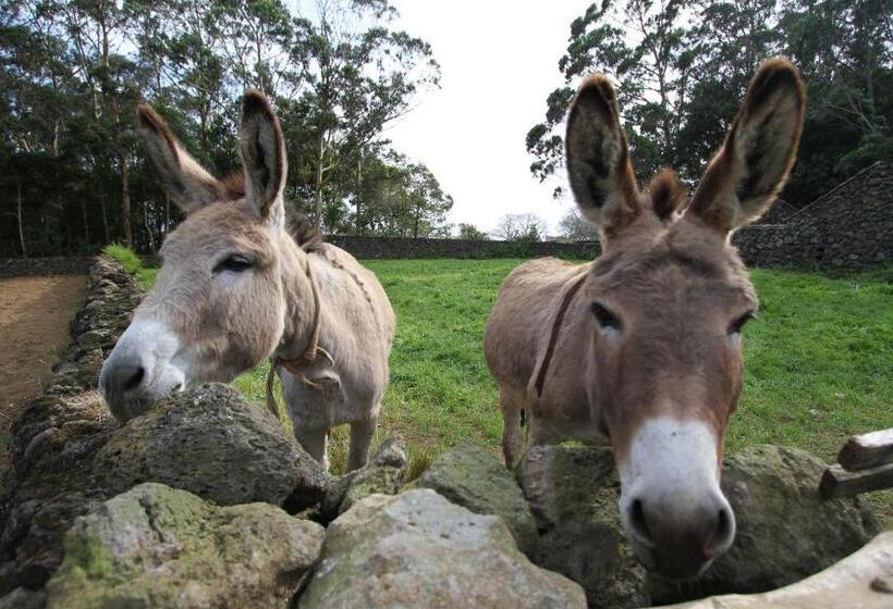 교외 호텔 Quinta Do Martelo