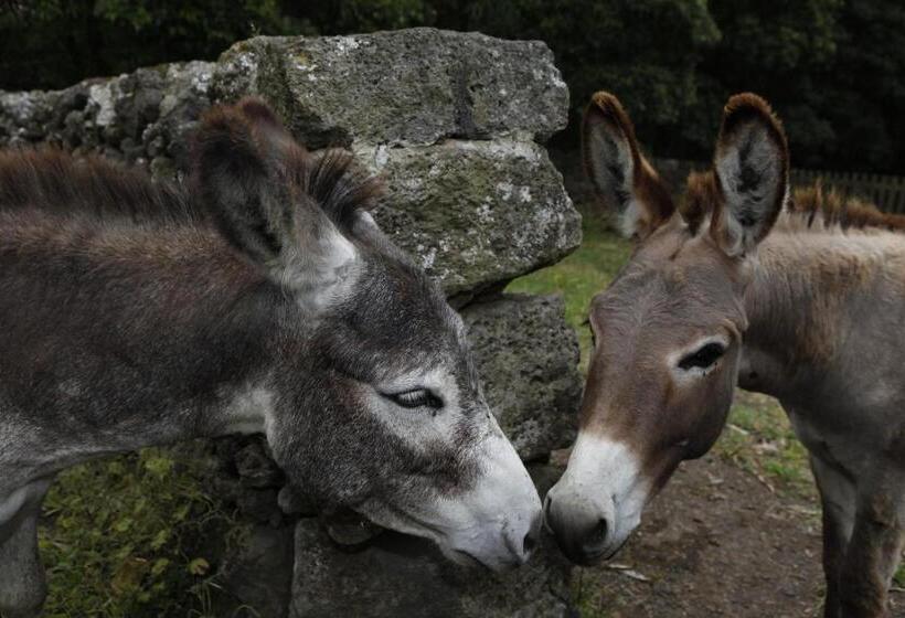 교외 호텔 Quinta Do Martelo