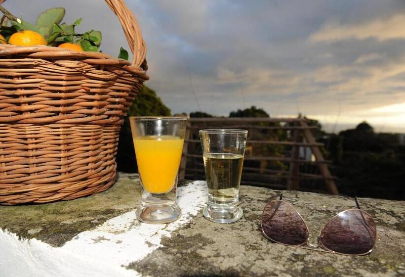 교외 호텔 Quinta Do Martelo