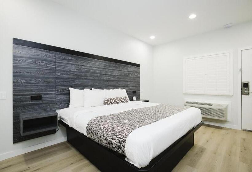 ホテル Sapphire Inn And Suites