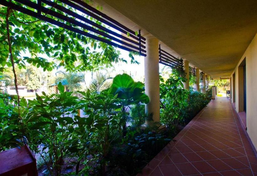 Sea Cliff Court Hotel & Luxury Apartments