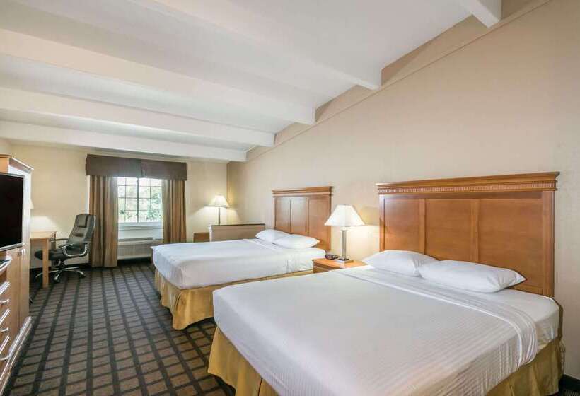 Отель Super 8 By Wyndham Beaumont I 10 College St