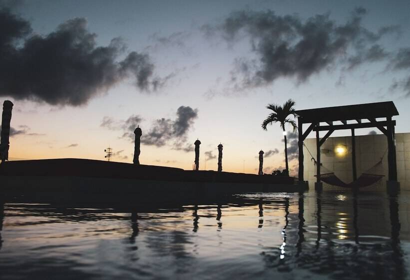 בית מלון כפרי The Palm