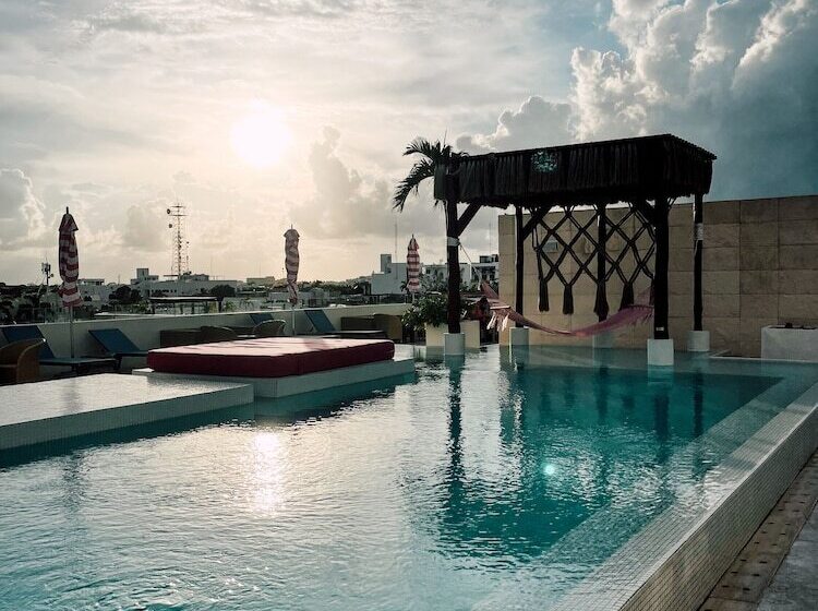 בית מלון כפרי The Palm