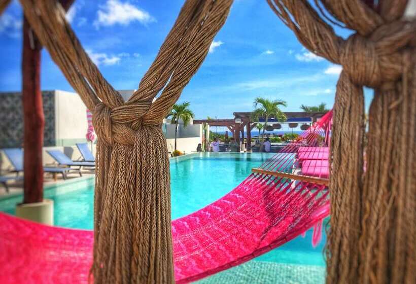 בית מלון כפרי The Palm