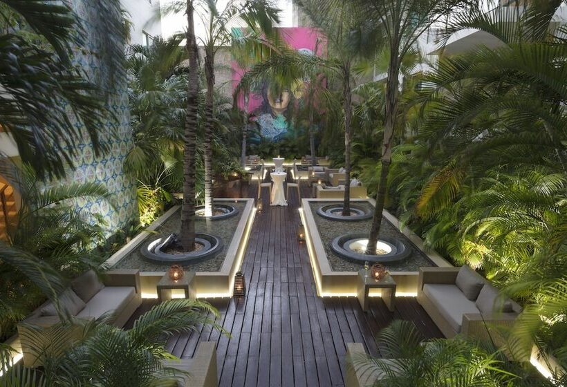 בית מלון כפרי The Palm