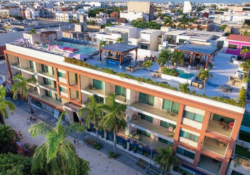 בית מלון כפרי The Palm