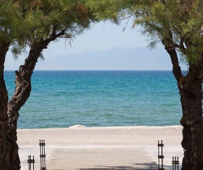 בית מלון כפרי The Wave