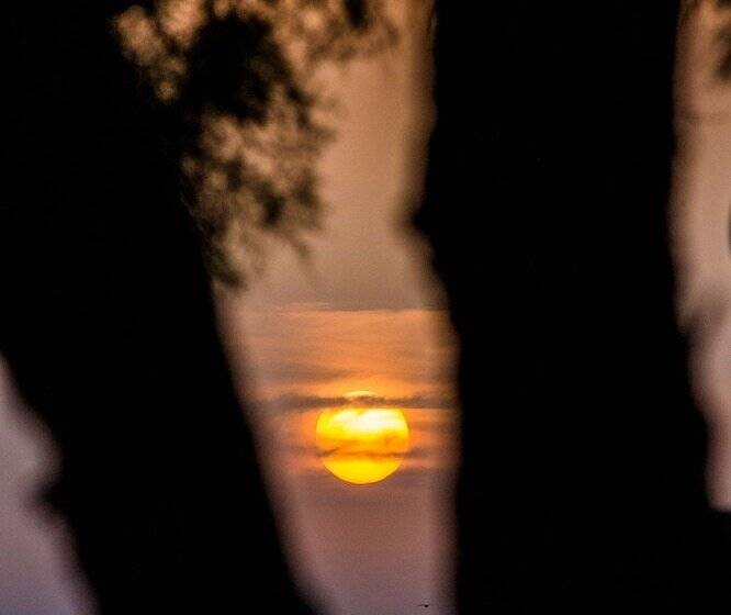 בית מלון כפרי The Wave